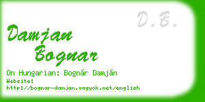 damjan bognar business card